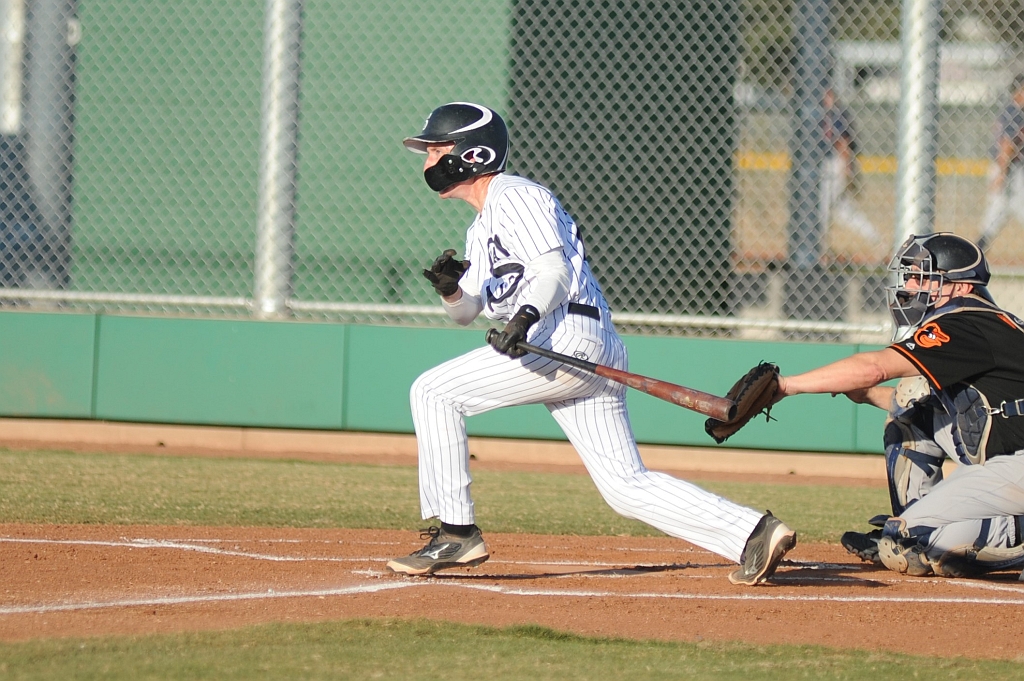 Seals_2019-08-23 (407).JPG - (c)2010 DeVetter